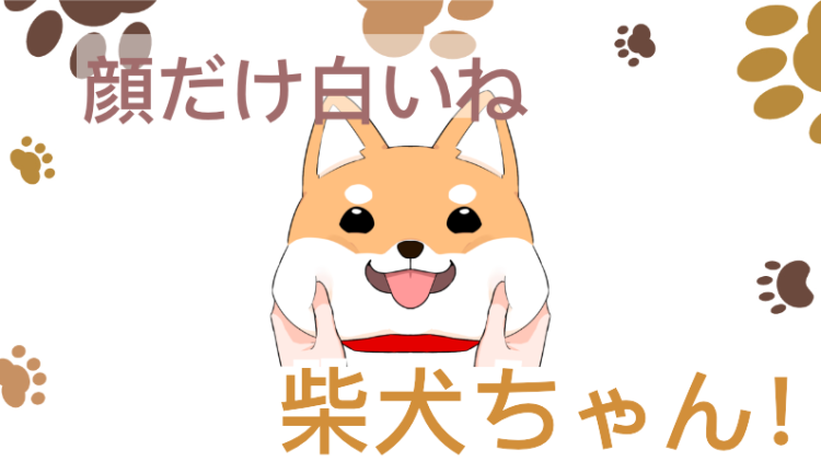 日本の小型犬と言えば柴犬ですね！